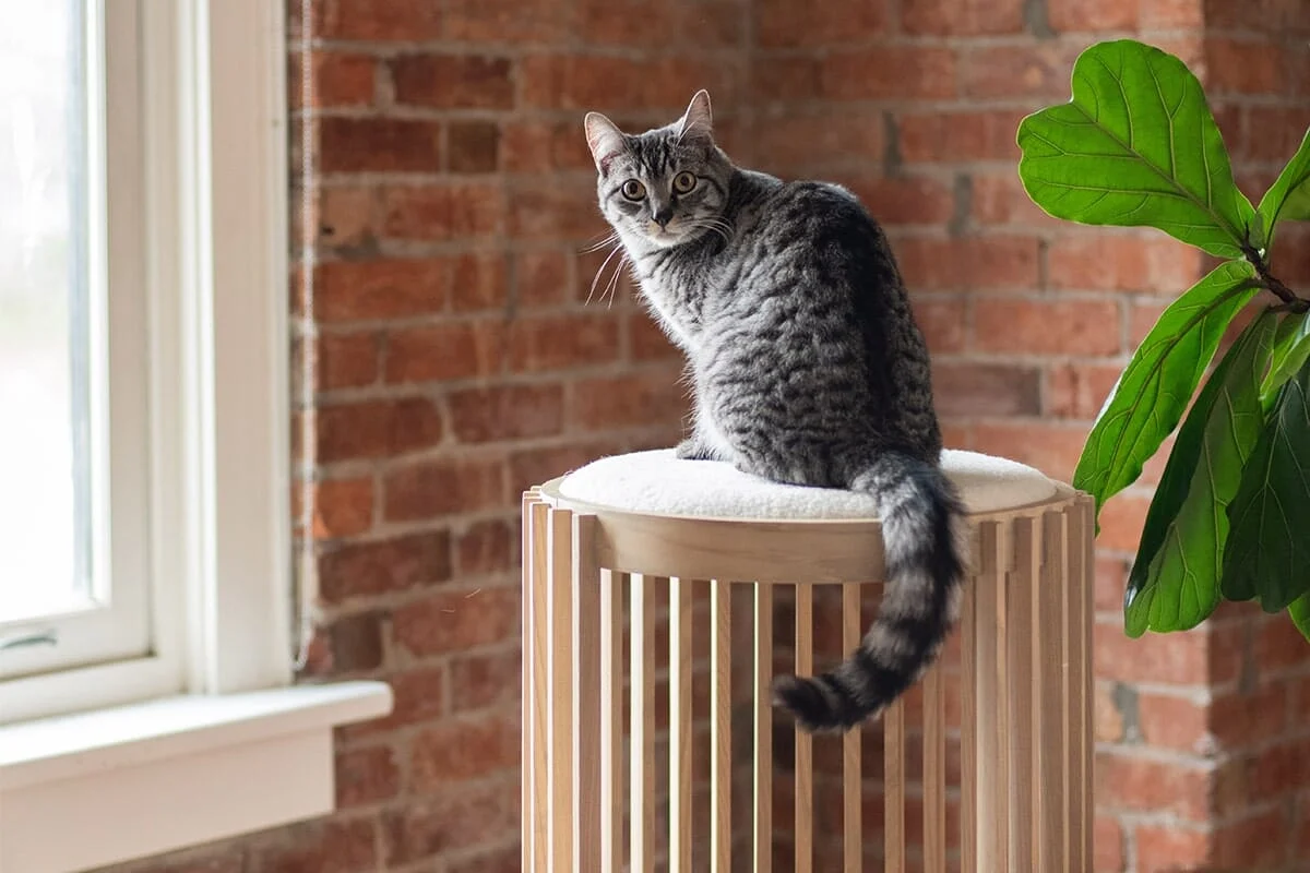 tuft + paw Grove Cat Tower in Short and Tall Versions