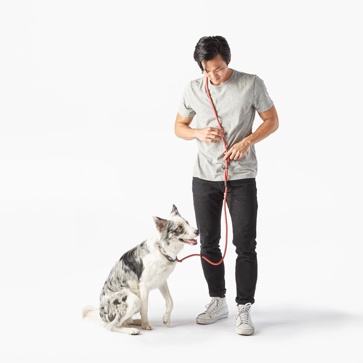Magic Link® Hands-Free Dog Leash, Belt and Wrist Strap