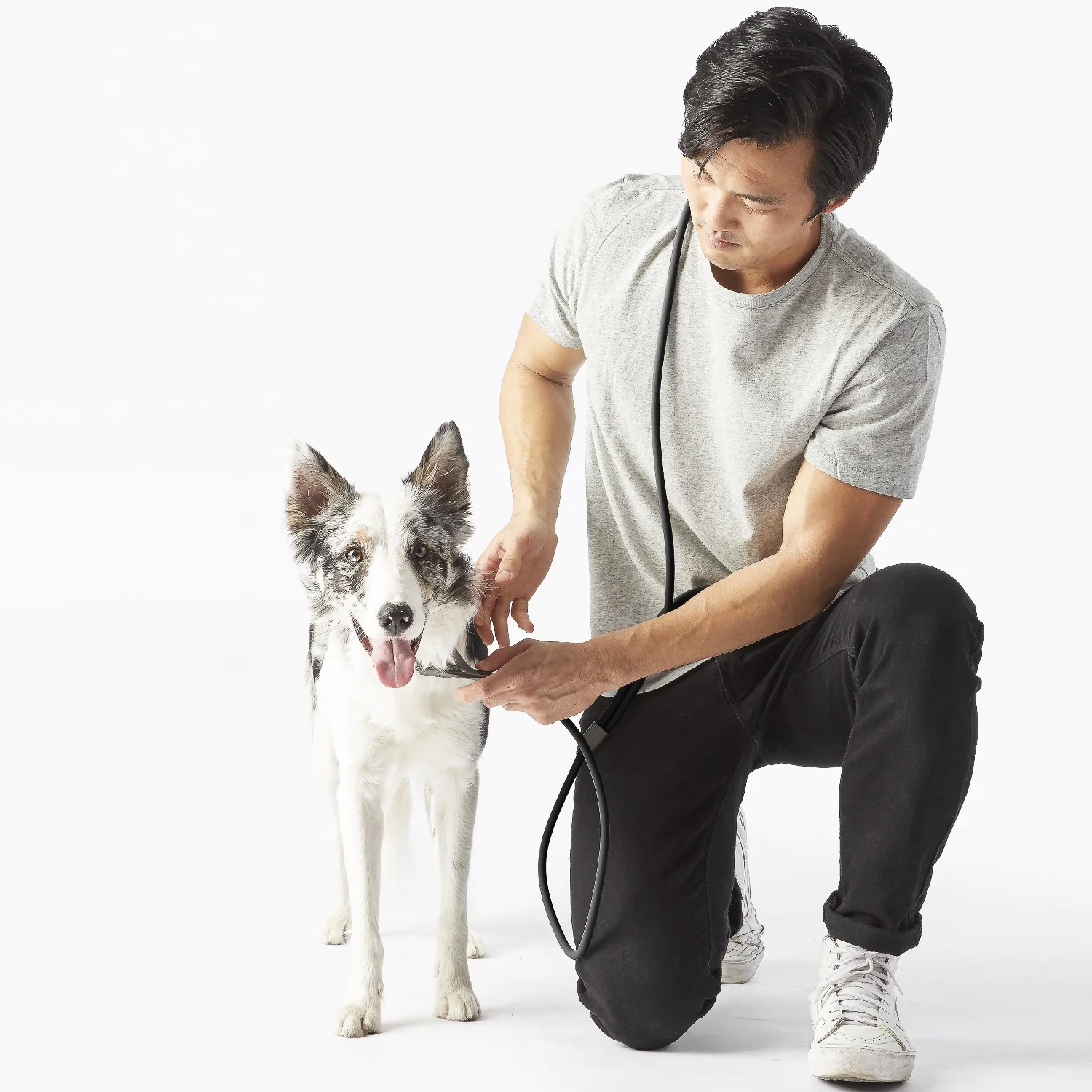 Fablepets Magic Leash® Short Hands-Free Dog Leash
