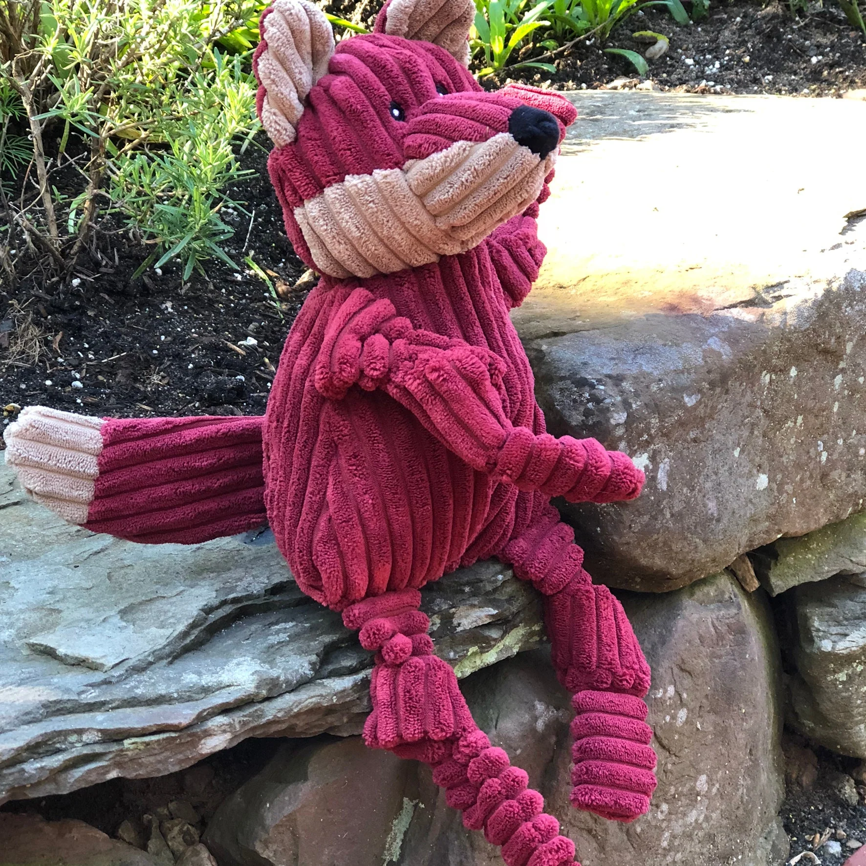 Sly Fox Knottie® Plush Dog Toy with Five Squeakers