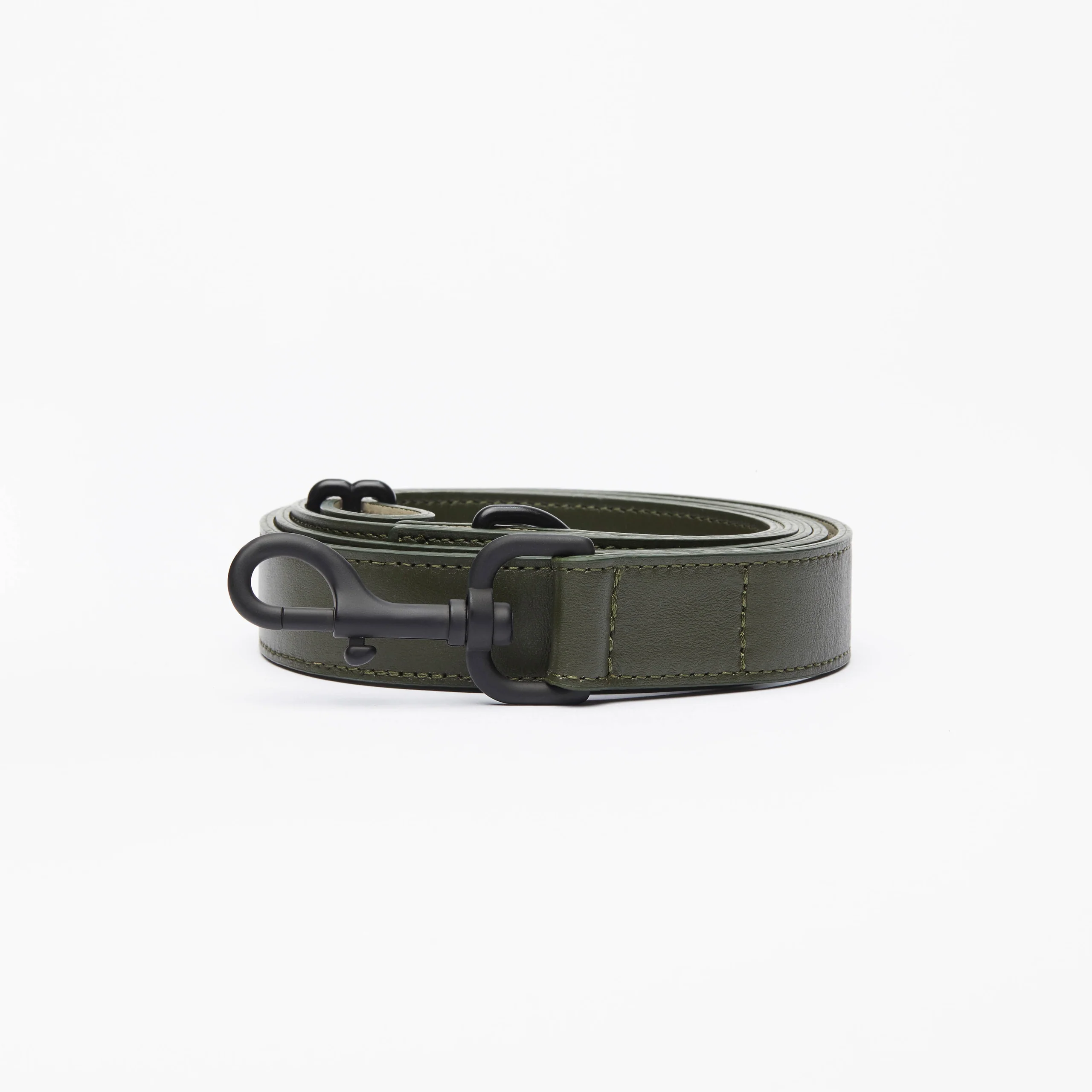 Limited Edition Italian Leather Dog Leash in Modern Colors