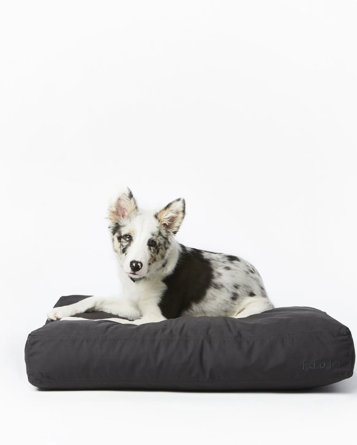 Memory-Foam-Hundebett mit wasserfester, maschinenwaschbarer Außenhülle