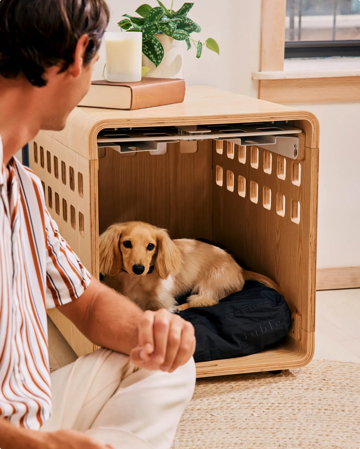 Signature Crate Bentwood Furniture Dog Crate in Two Finishes