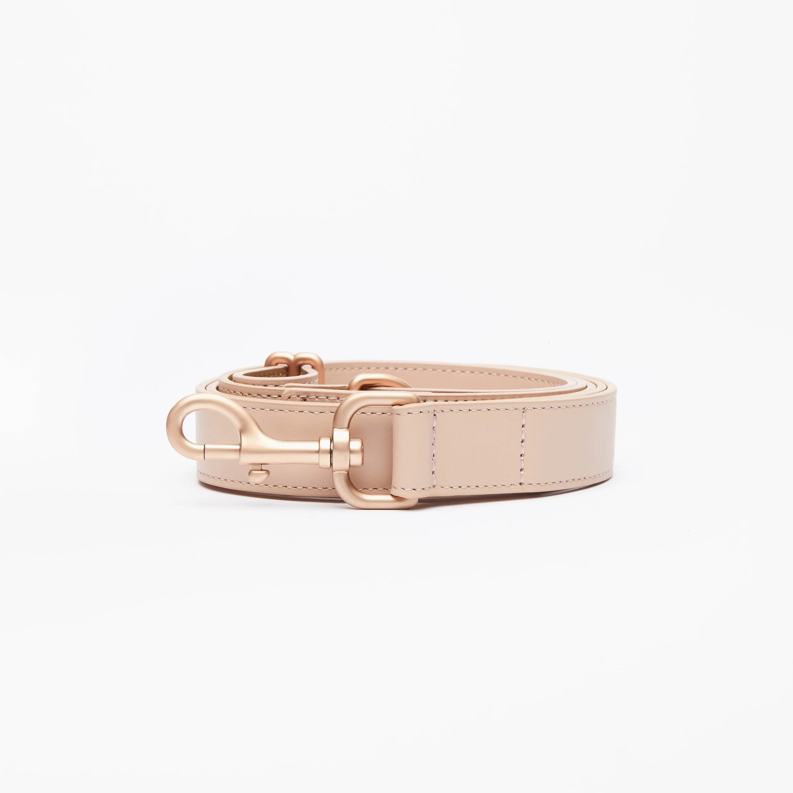 Limited Edition Italian Leather Dog Leash in Modern Colors