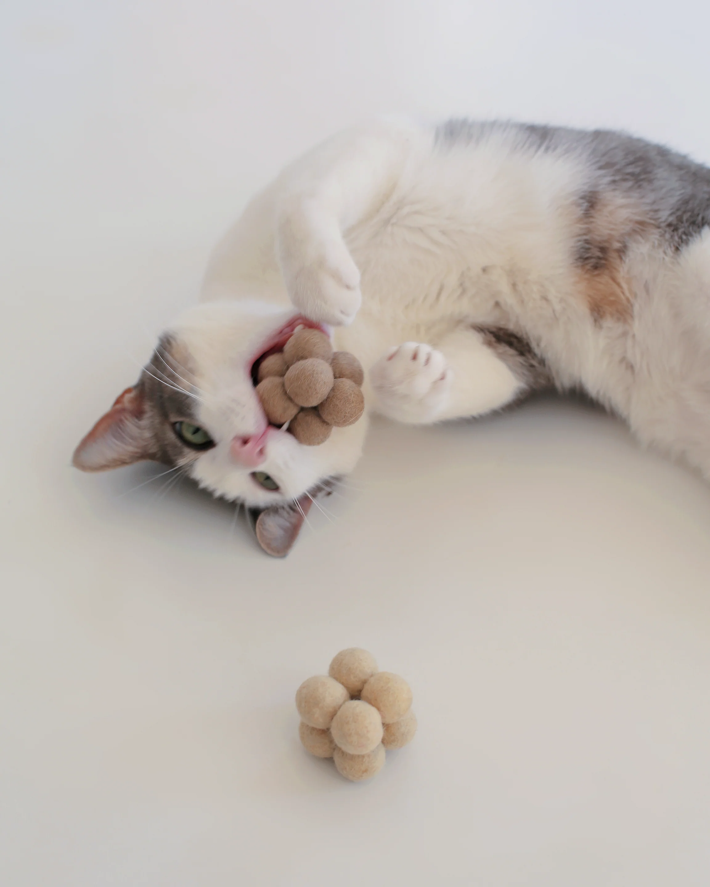 Catenary Pearl Catnip Toys Three-Pack in Wool, White Cream and Chocolate