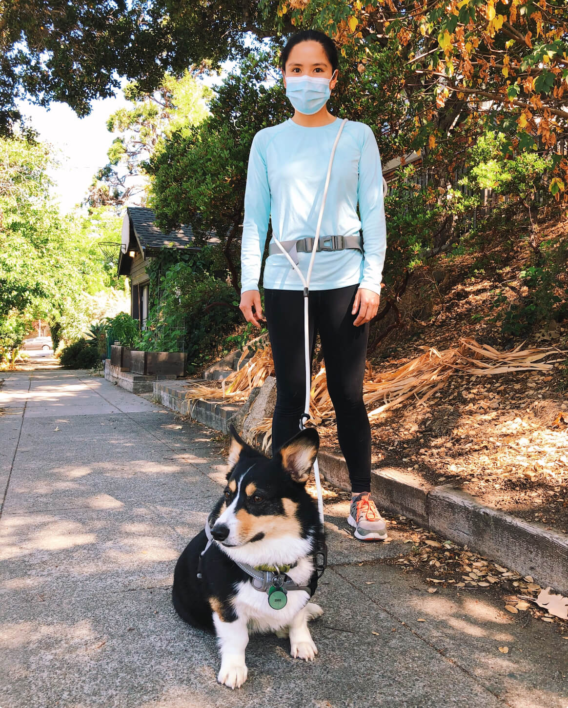 Magic Link® Hands-Free Dog Leash, Belt and Wrist Strap