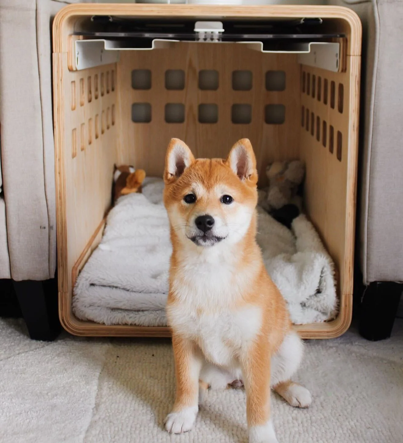 Signature Crate Bentwood Furniture Dog Crate in Two Finishes