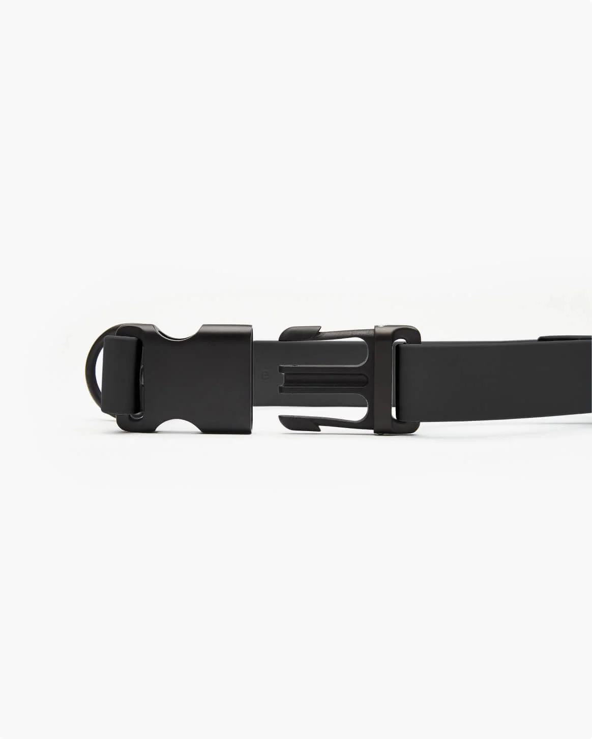 Signature Collar Personalized Coated Webbing Dog Collar
