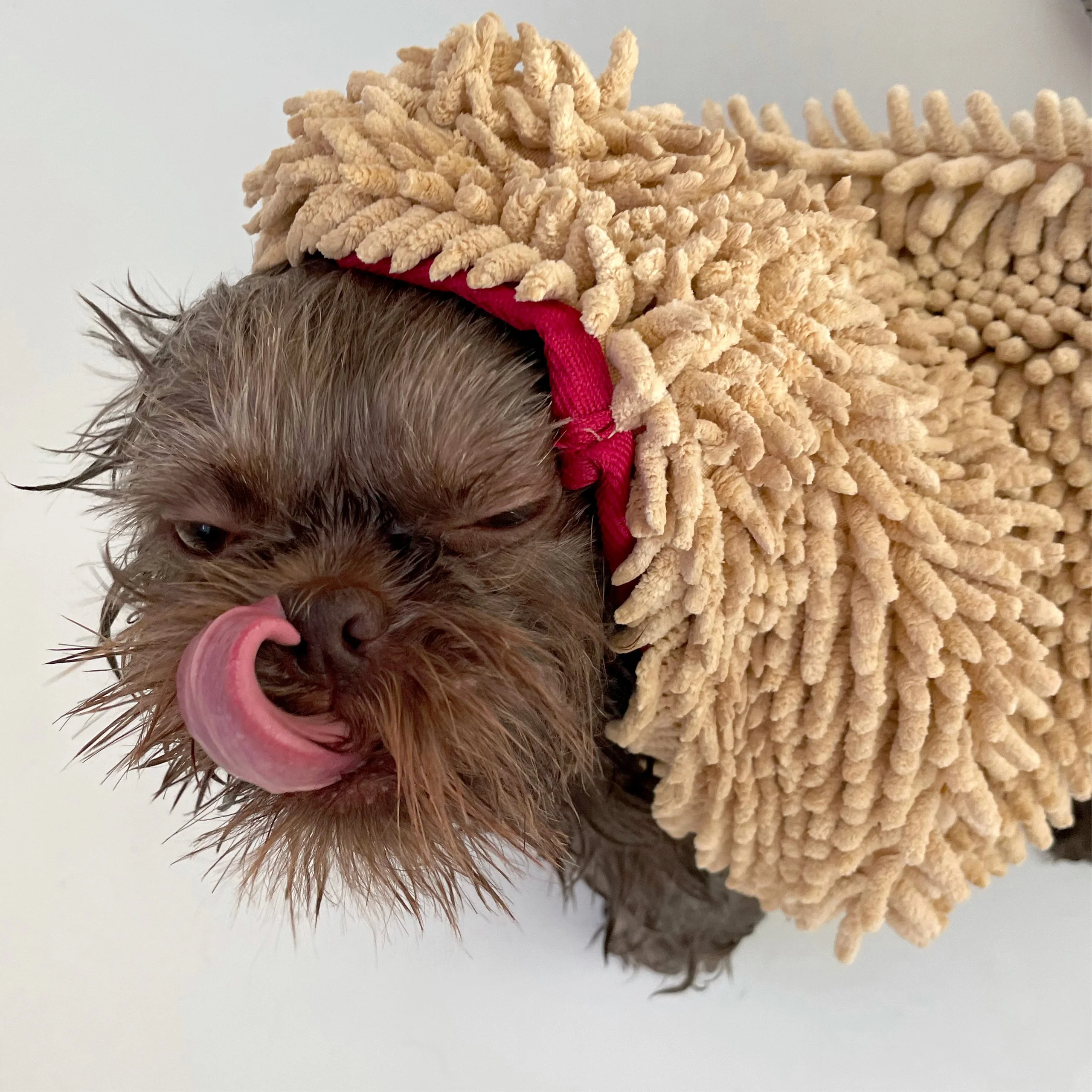 Serviette de séchage microfibre pour chien et chat THE TOWEL Pride + Groom avec poches pour les mains