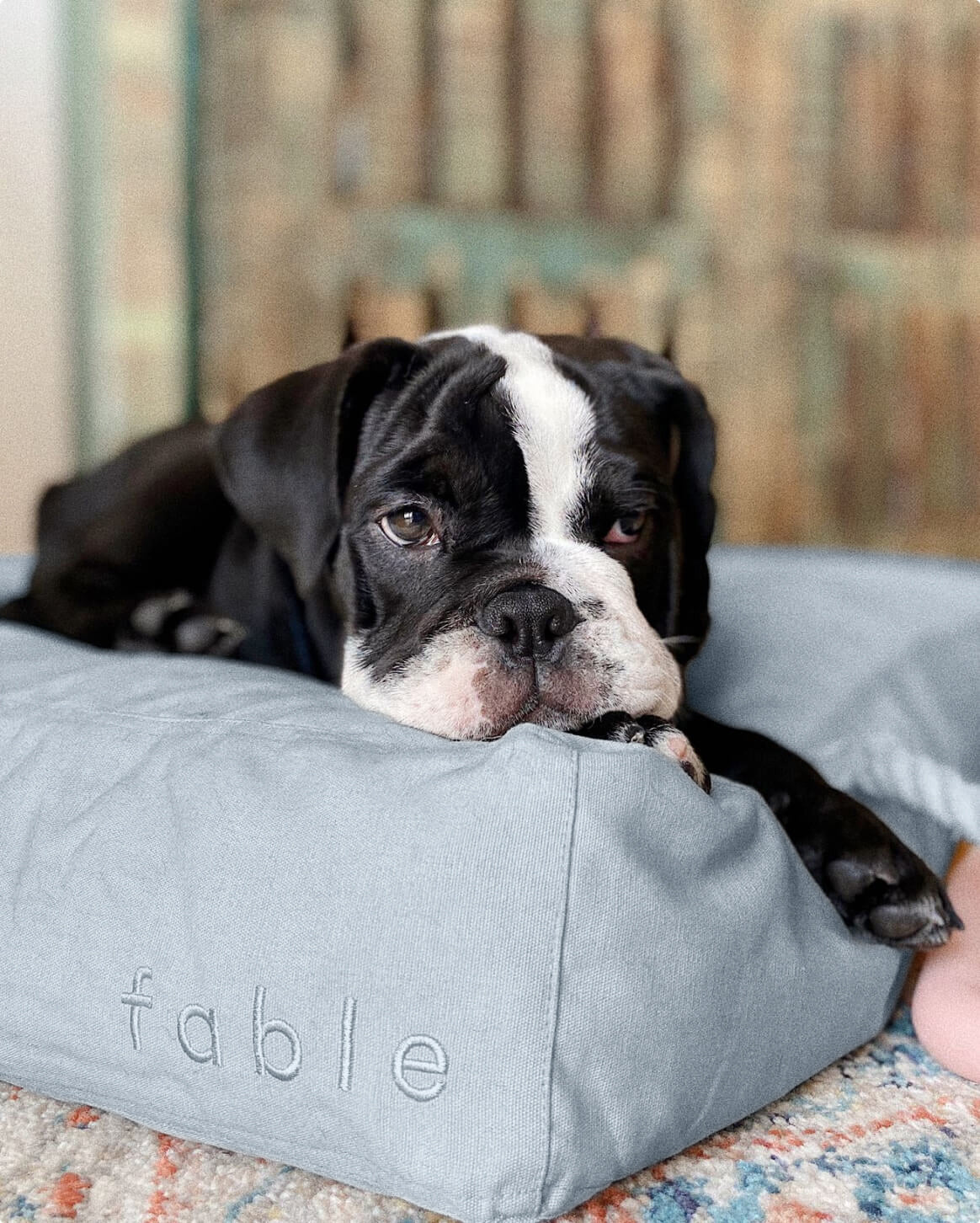 Memory-Foam-Hundebett mit wasserfester, maschinenwaschbarer Außenhülle