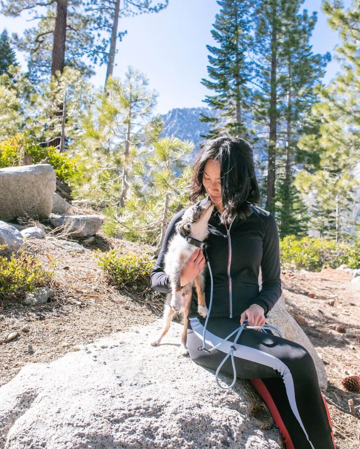 Magic Link® Hands-Free Dog Leash, Belt and Wrist Strap