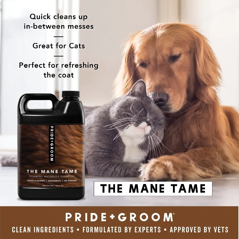 Pride + Groom THE MANE TAME vesitön shampoo koirille ja kissoille