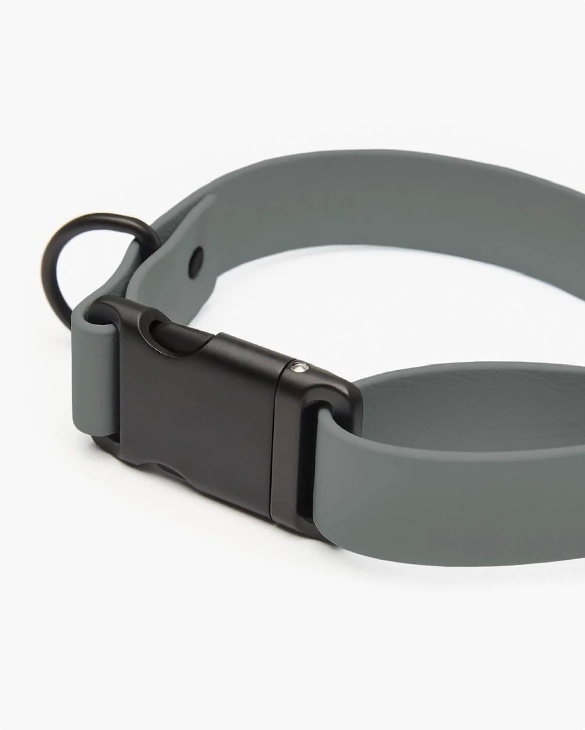 Signature Collar Personalized Coated Webbing Dog Collar