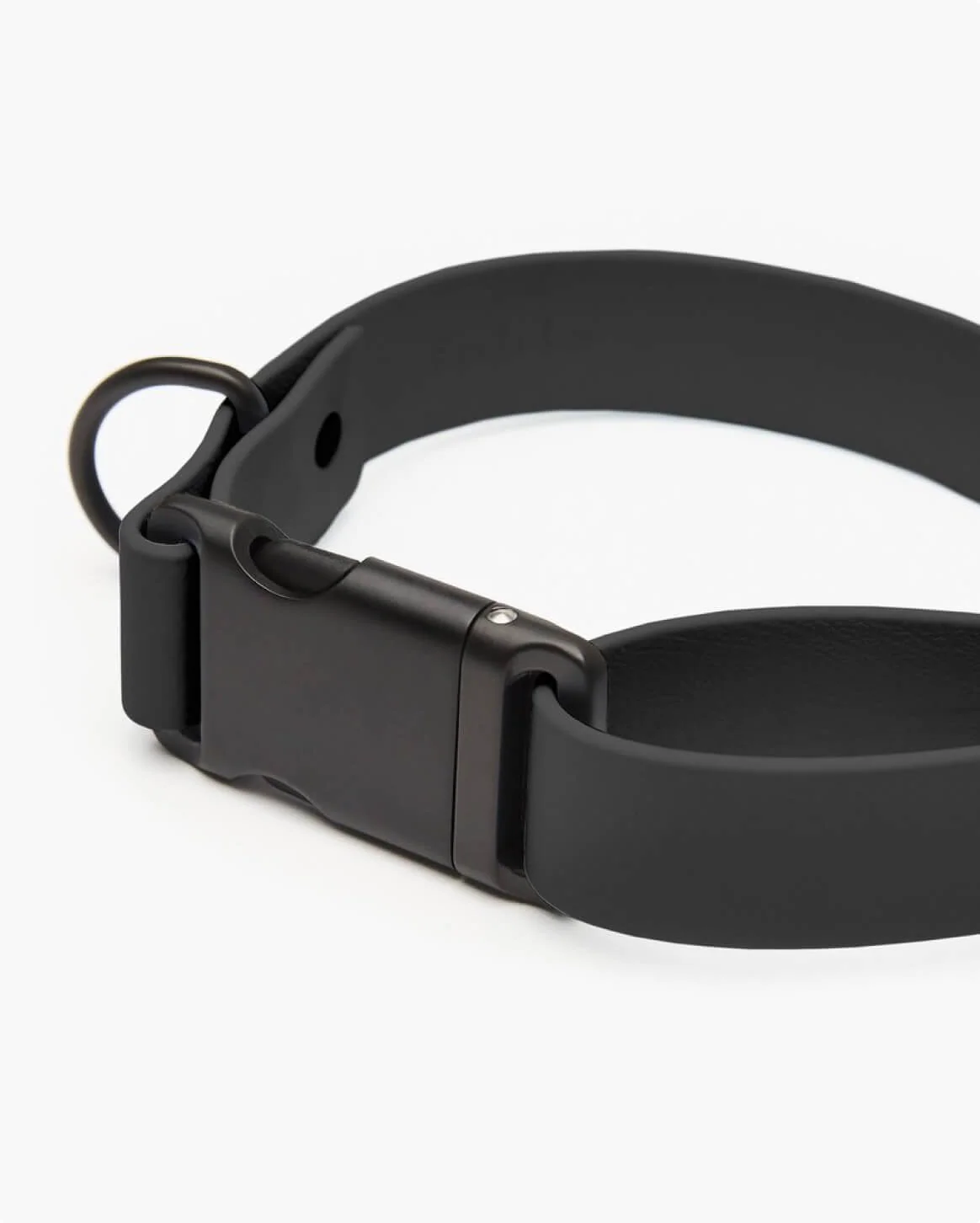 Signature Collar Personalized Coated Webbing Dog Collar