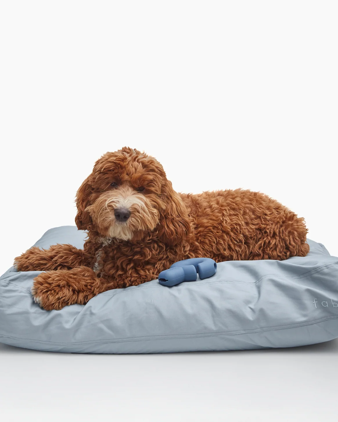 Memory-Foam-Hundebett mit wasserfester, maschinenwaschbarer Außenhülle