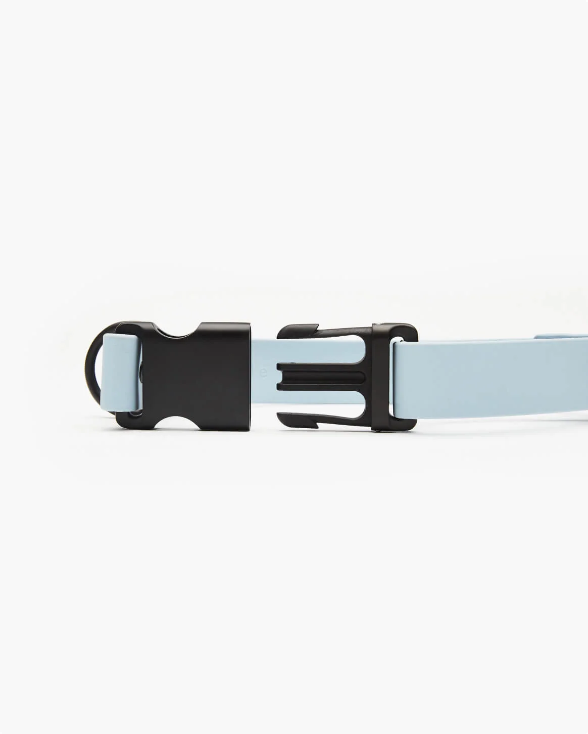 Signature Collar Personalized Coated Webbing Dog Collar
