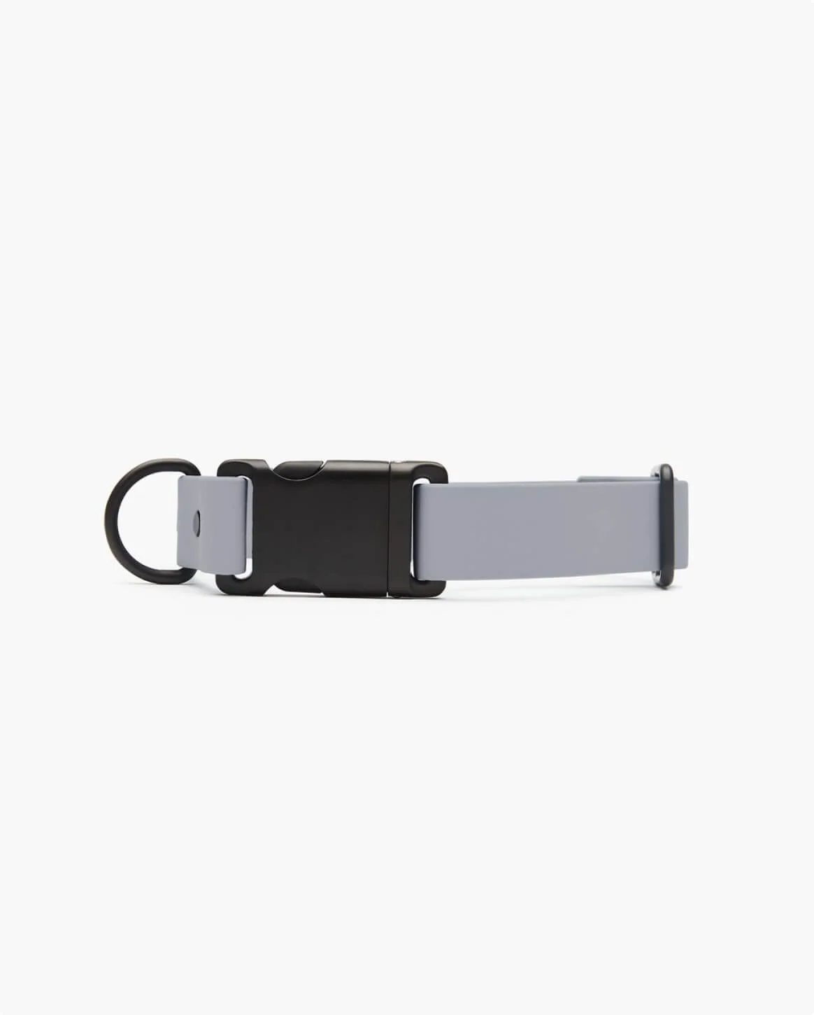 Signature Collar Coated Webbing Dog Collar with Aluminum Auto-Buckle