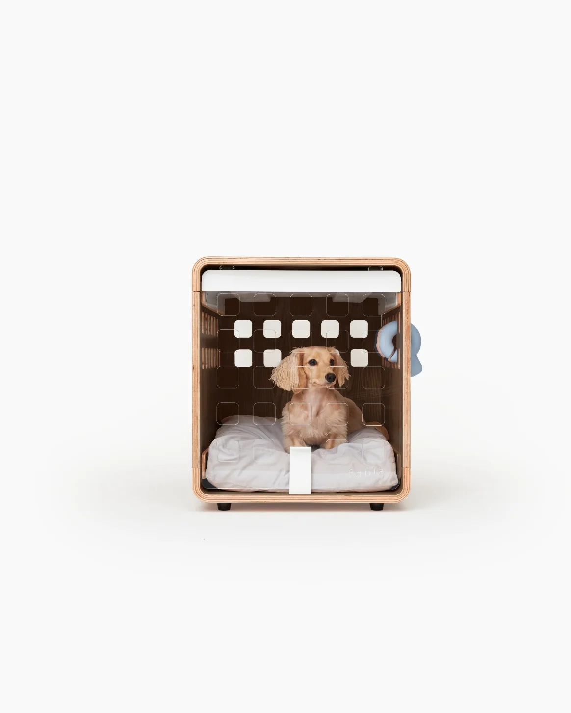 Signature Crate Bentwood Furniture Dog Crate in Two Finishes