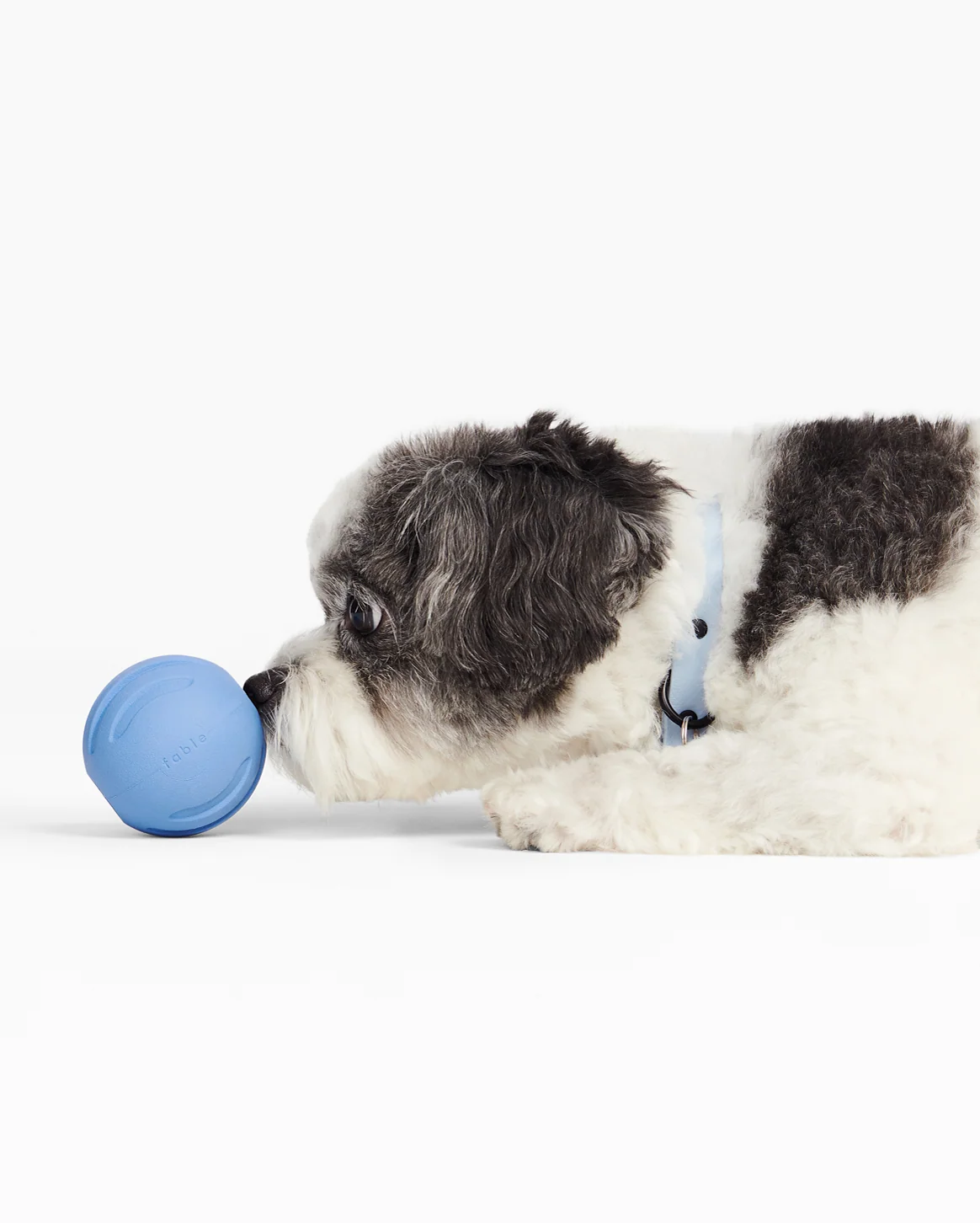 Pelota Signature de caucho natural para perros, para perseguir y lanzar