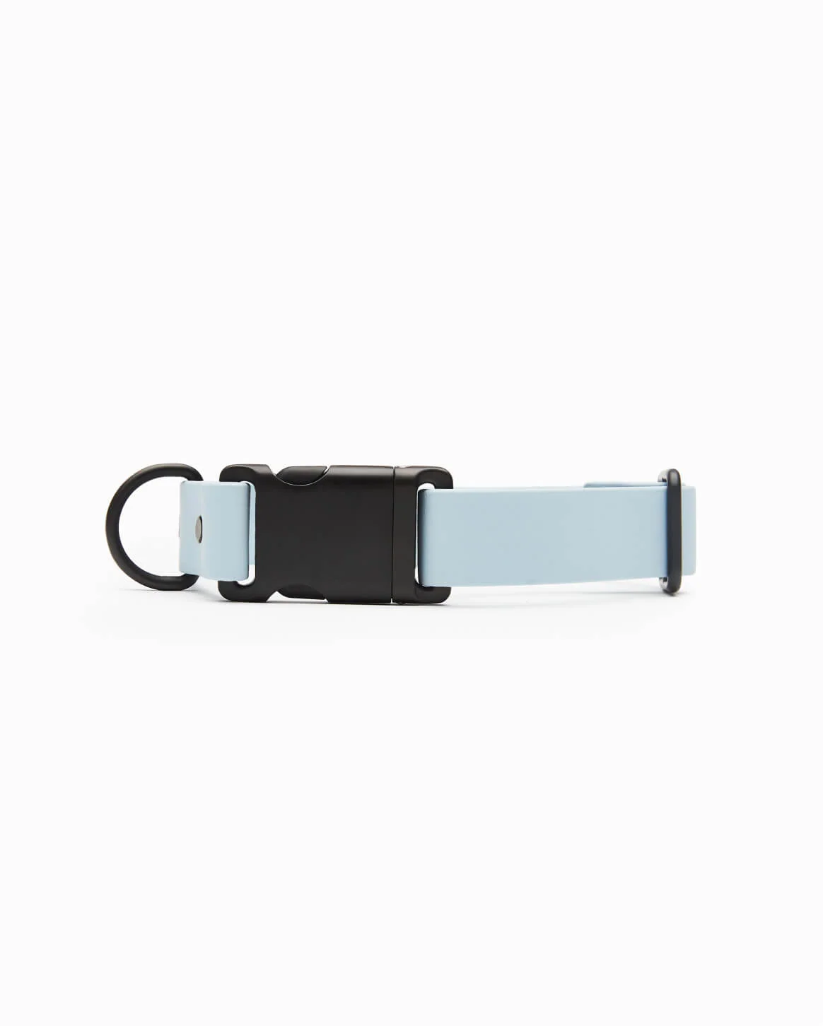 Signature Collar Coated Webbing Dog Collar with Aluminum Auto-Buckle