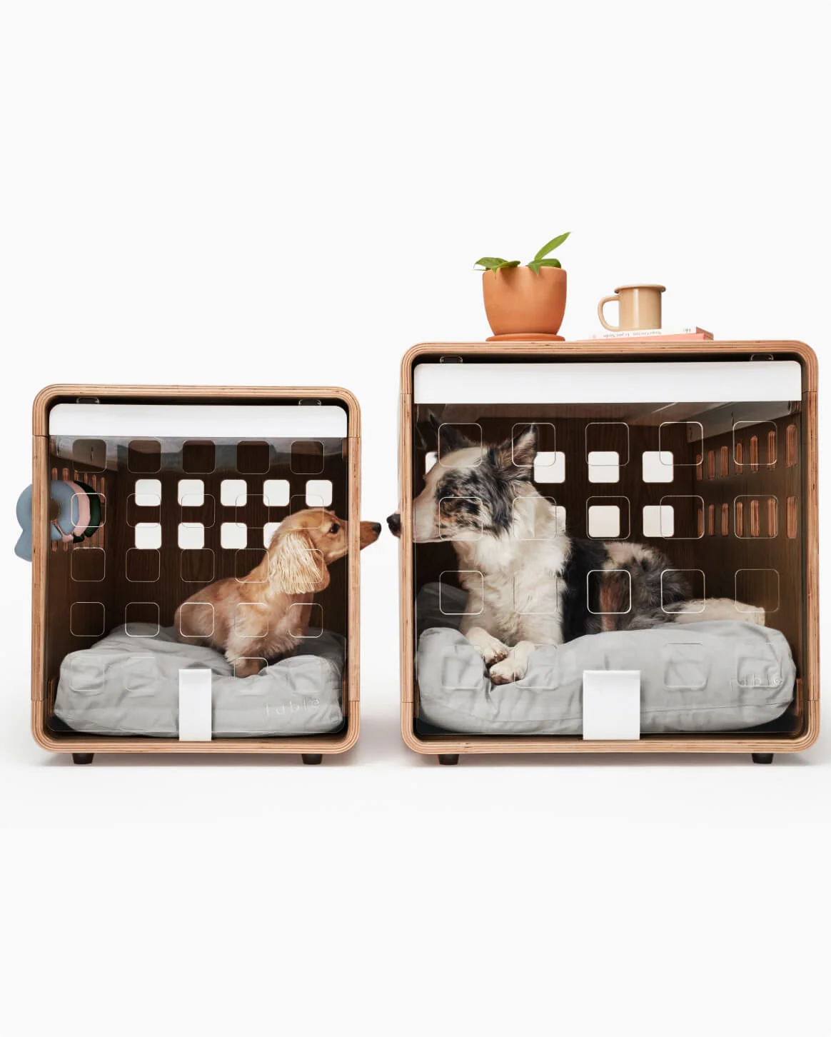Signature Crate Bentwood Furniture Dog Crate in Two Finishes