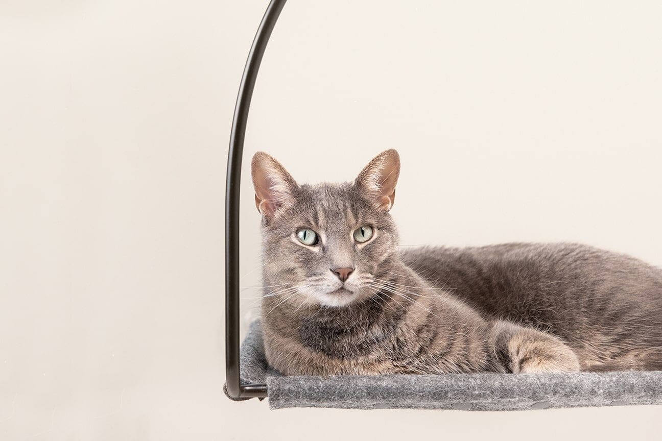 tuft + paw Cloud Nine Window Hammock for Cats