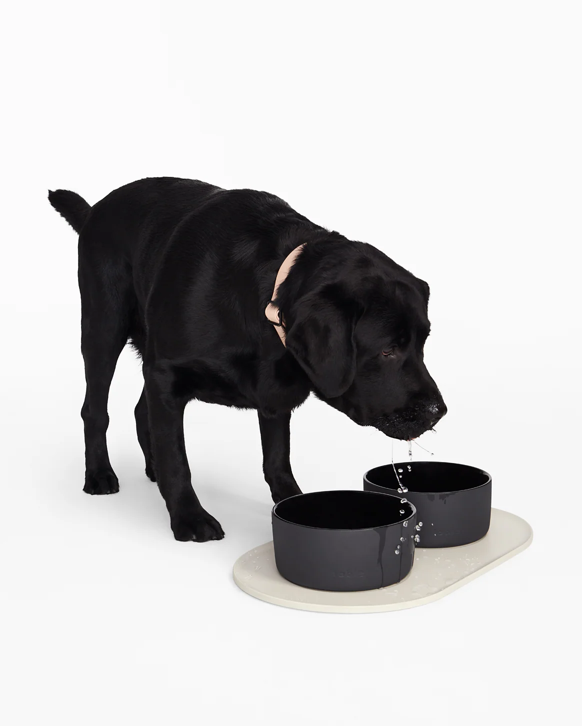 Dining Set: Ceramic Dog Bowls and Waterproof Bowl Mat