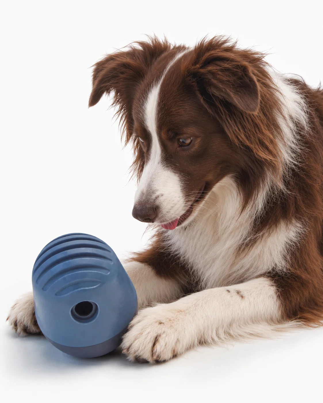 The Puffin™ Game : puzzle interactif pour chien contenant 1,5 tasse de nourriture