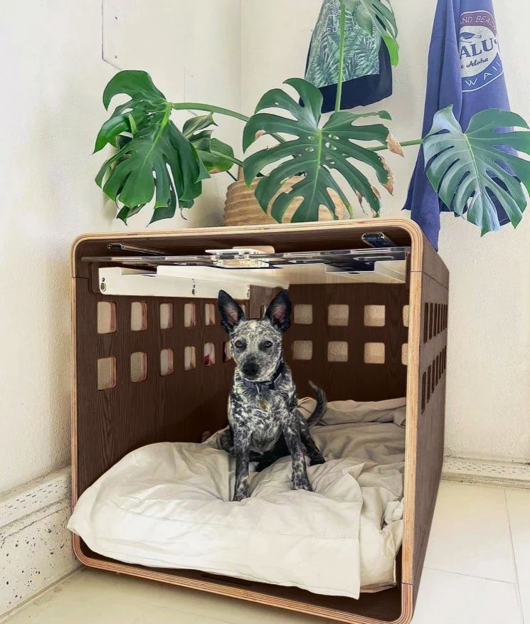 Signature Crate Bentwood Furniture Dog Crate in Two Finishes