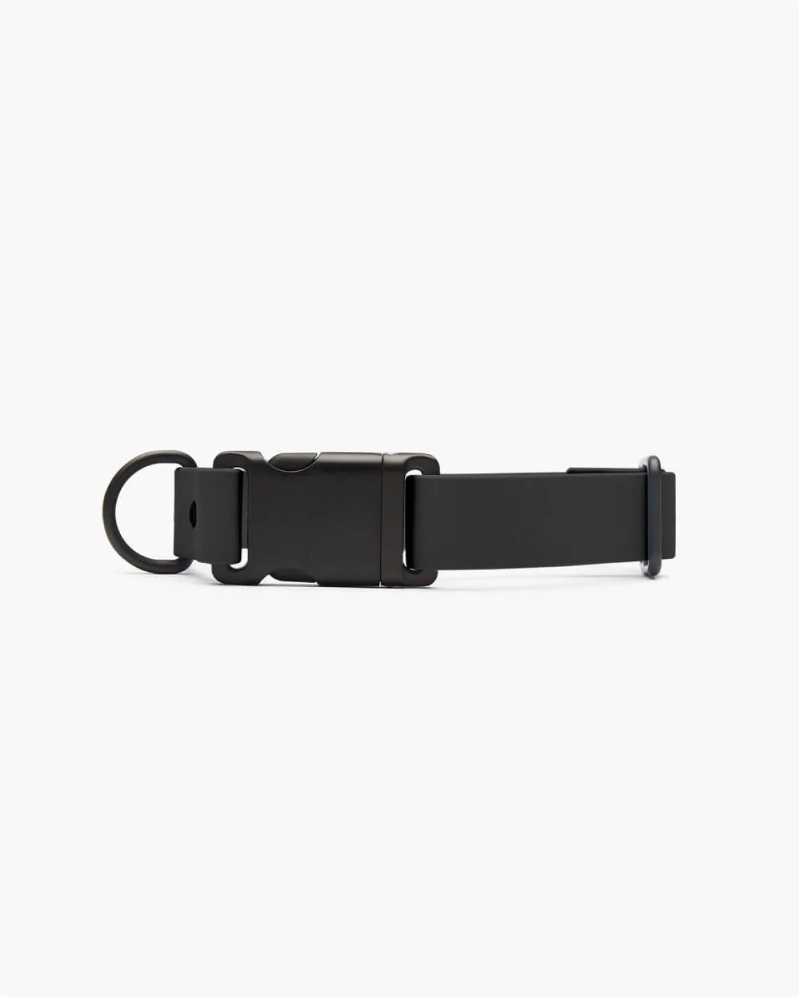 Signature Collar Personalized Coated Webbing Dog Collar