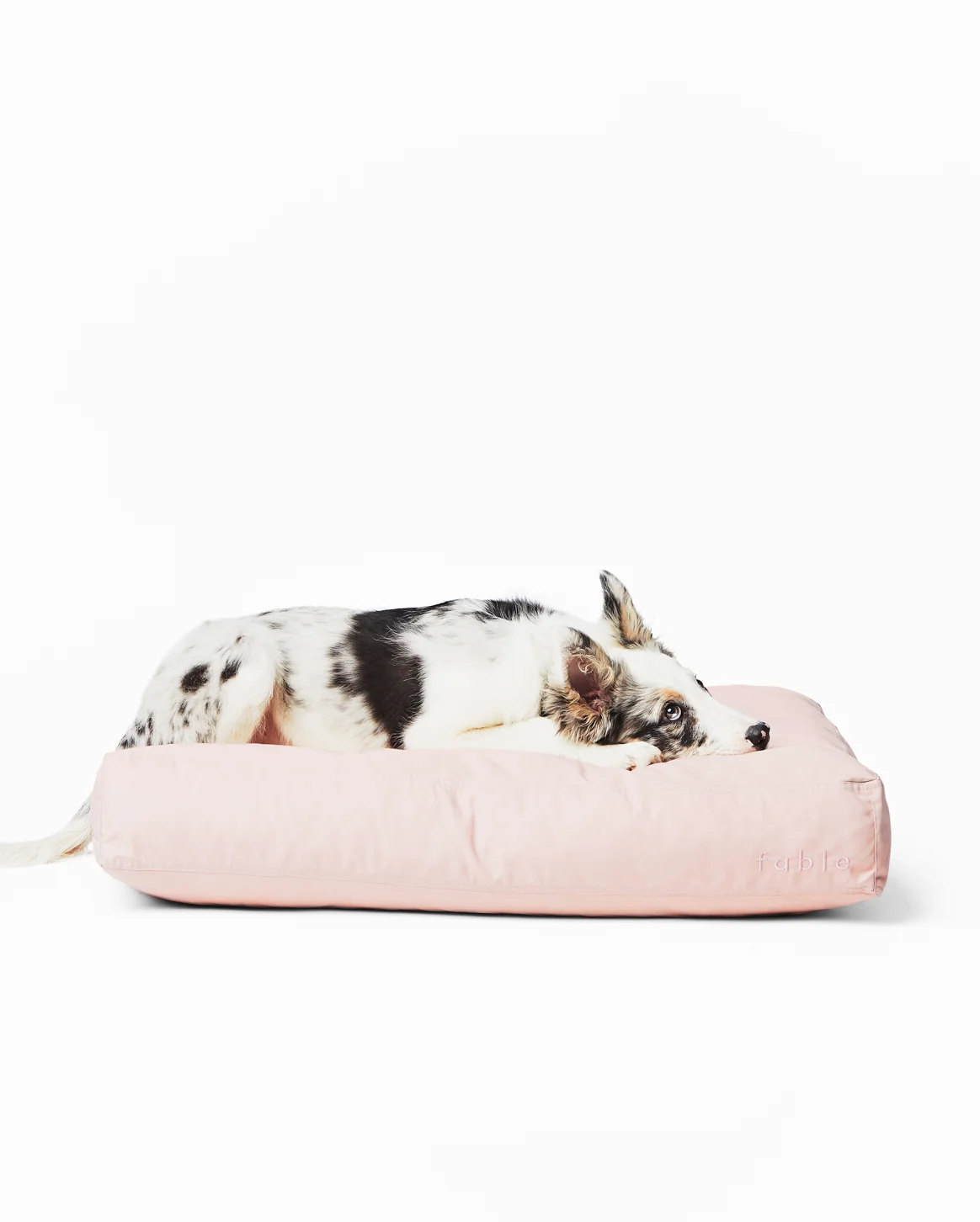 Memory-Foam-Hundebett mit wasserfester, maschinenwaschbarer Außenhülle