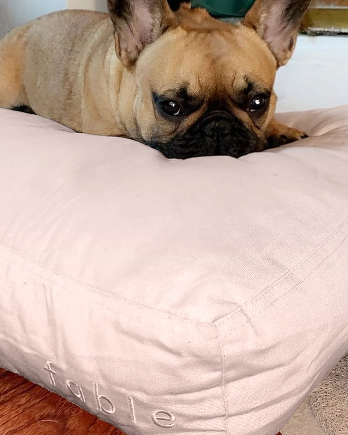 Memory-Foam-Hundebett mit wasserfester, maschinenwaschbarer Außenhülle