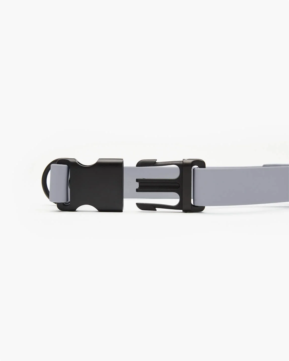 Signature Collar Personalized Coated Webbing Dog Collar