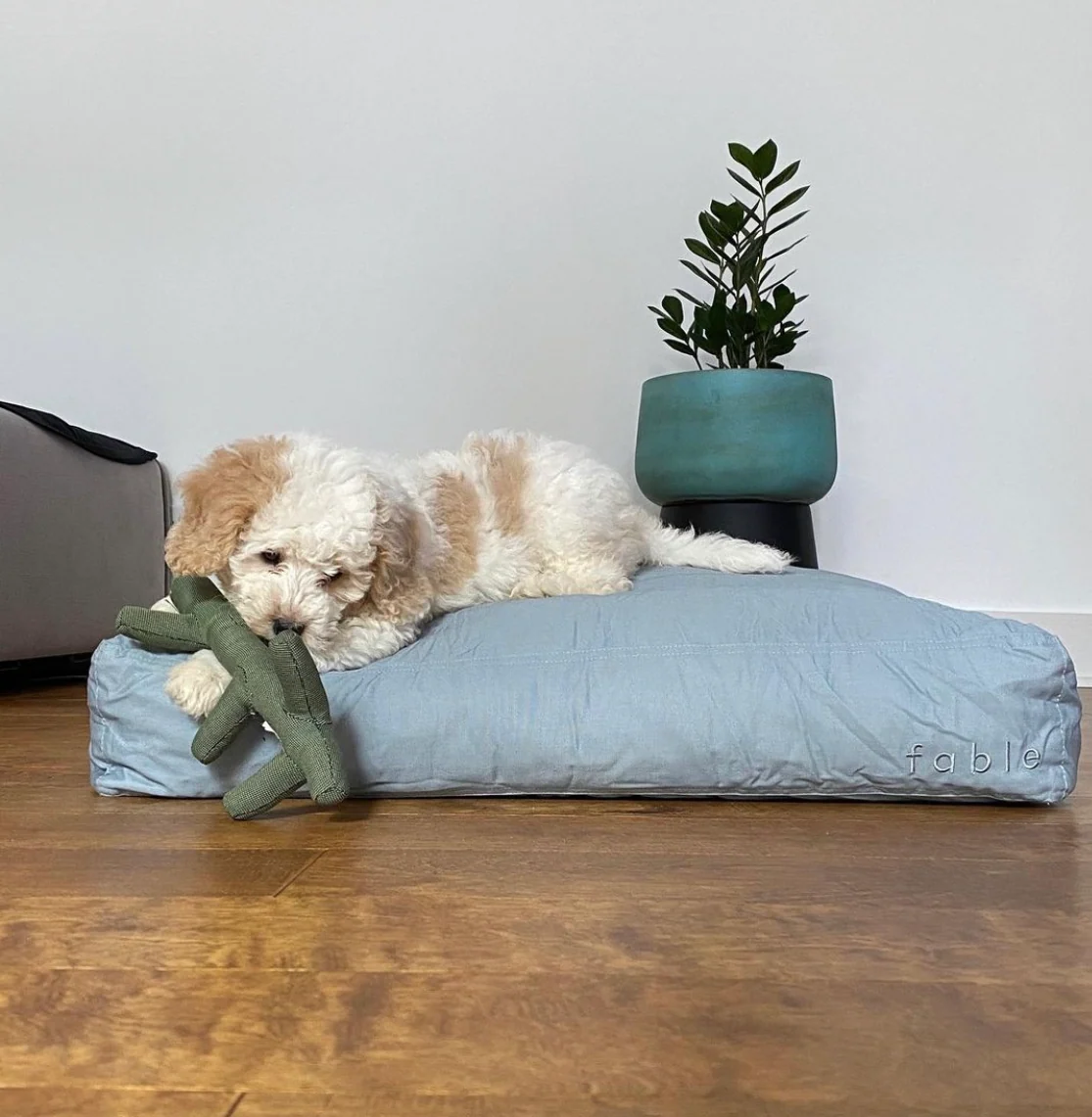 Memory-Foam-Hundebett mit wasserfester, maschinenwaschbarer Außenhülle