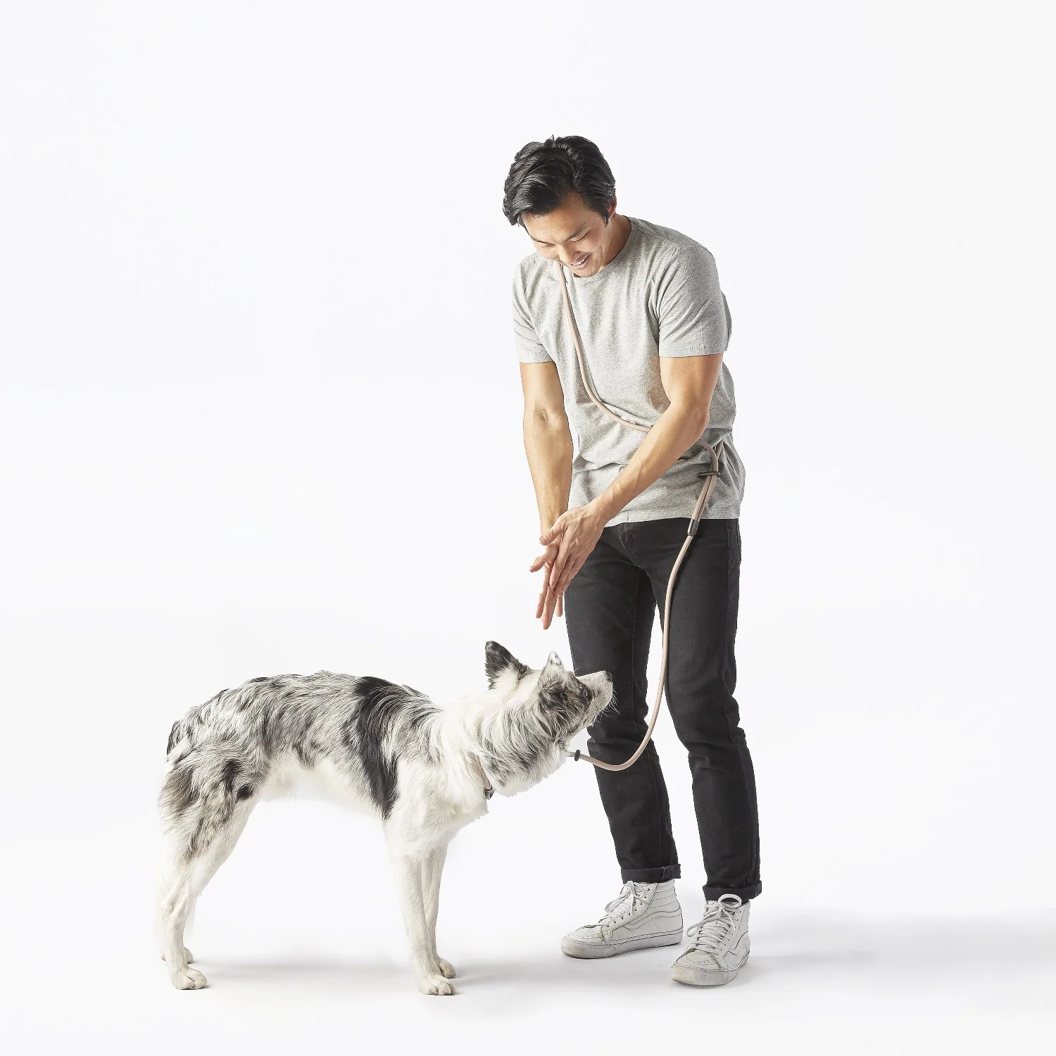 Fablepets Magic Leash® Short Hands-Free Dog Leash
