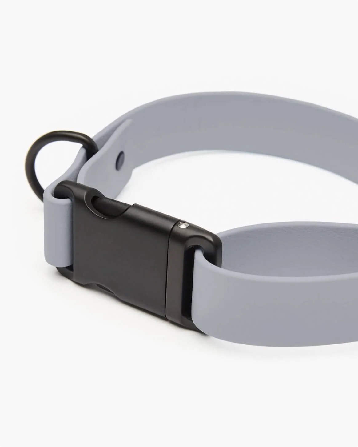 Signature Collar Personalized Coated Webbing Dog Collar