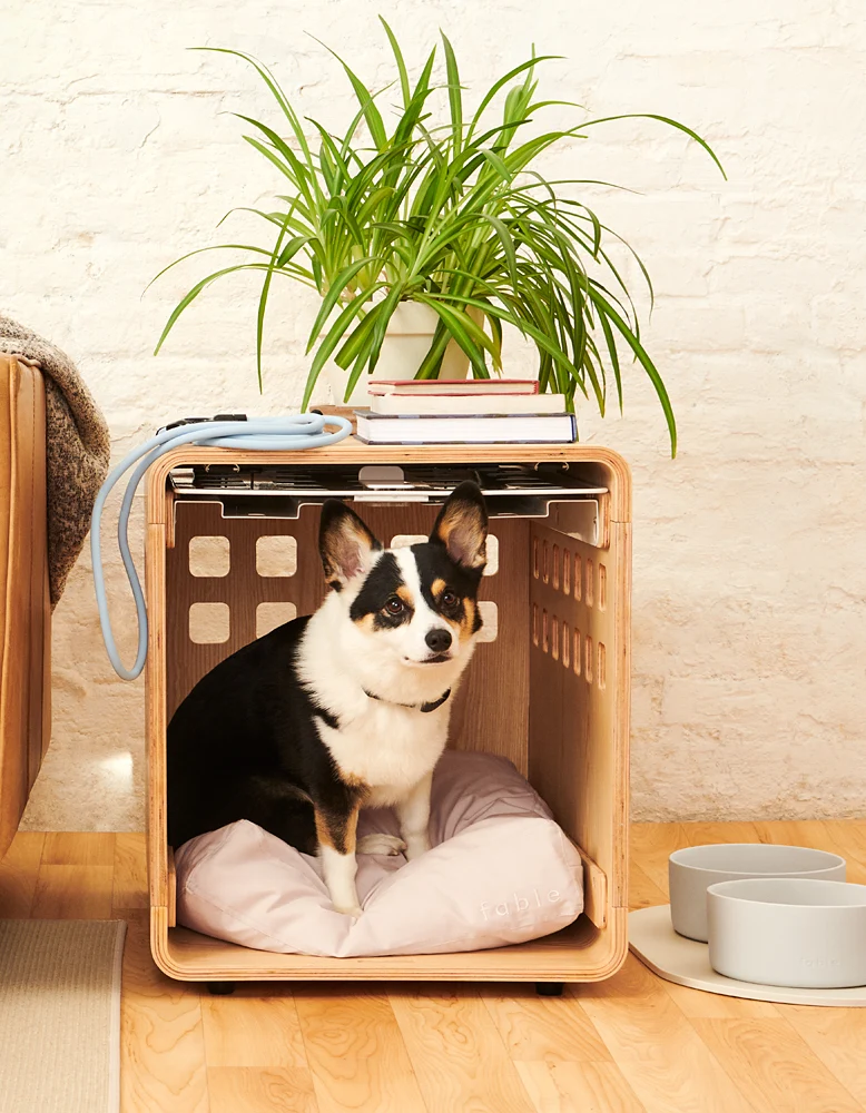 Signature Crate Bentwood Furniture Dog Crate in Two Finishes