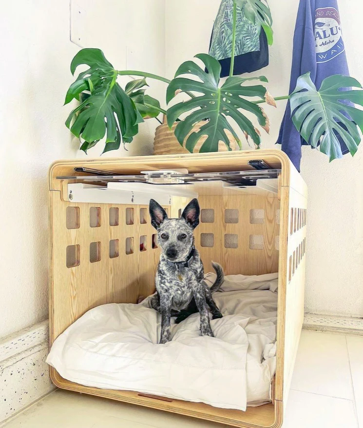 Signature Crate Bentwood Furniture Dog Crate in Two Finishes