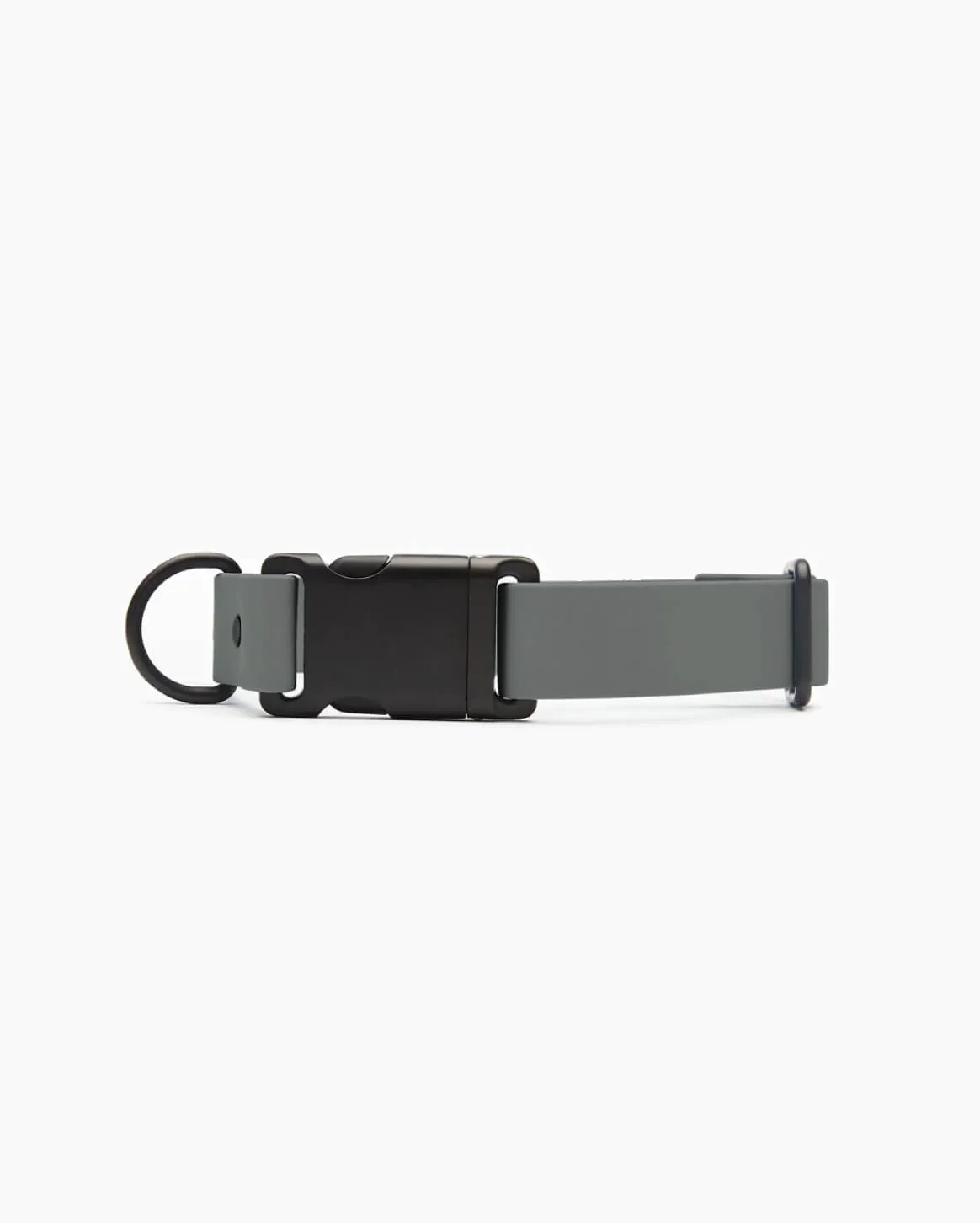 Signature Collar Personalized Coated Webbing Dog Collar