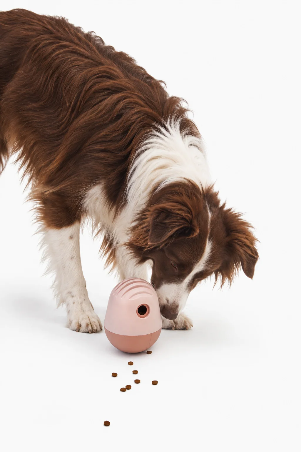 The Puffin™ Game : puzzle interactif pour chien contenant 1,5 tasse de nourriture