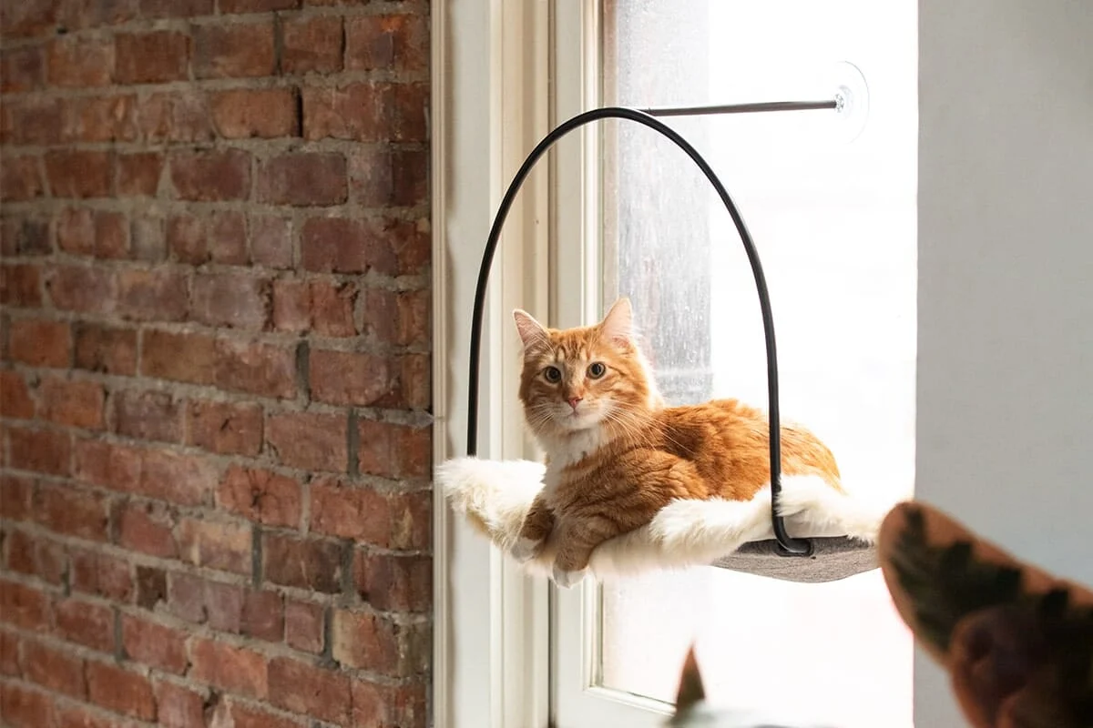 tuft + paw Cloud Nine Window Hammock for Cats