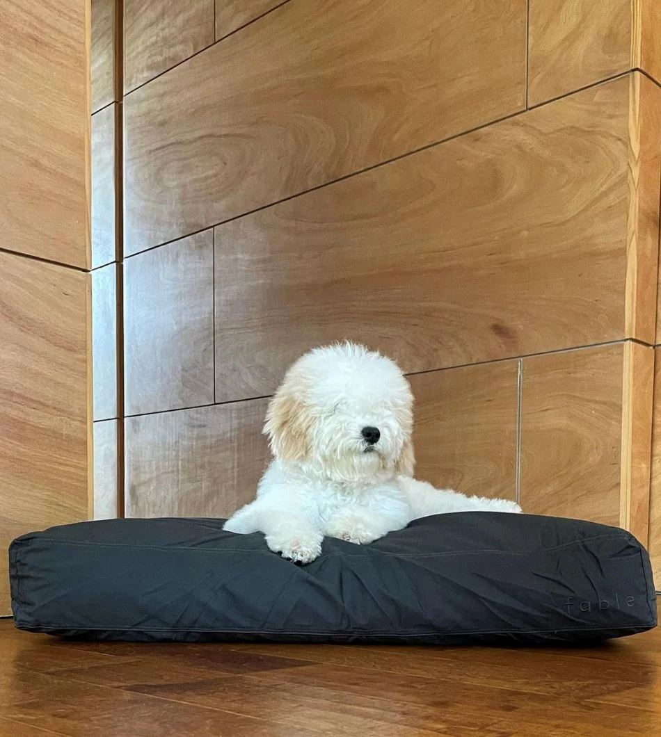 Memory-Foam-Hundebett mit wasserfester, maschinenwaschbarer Außenhülle