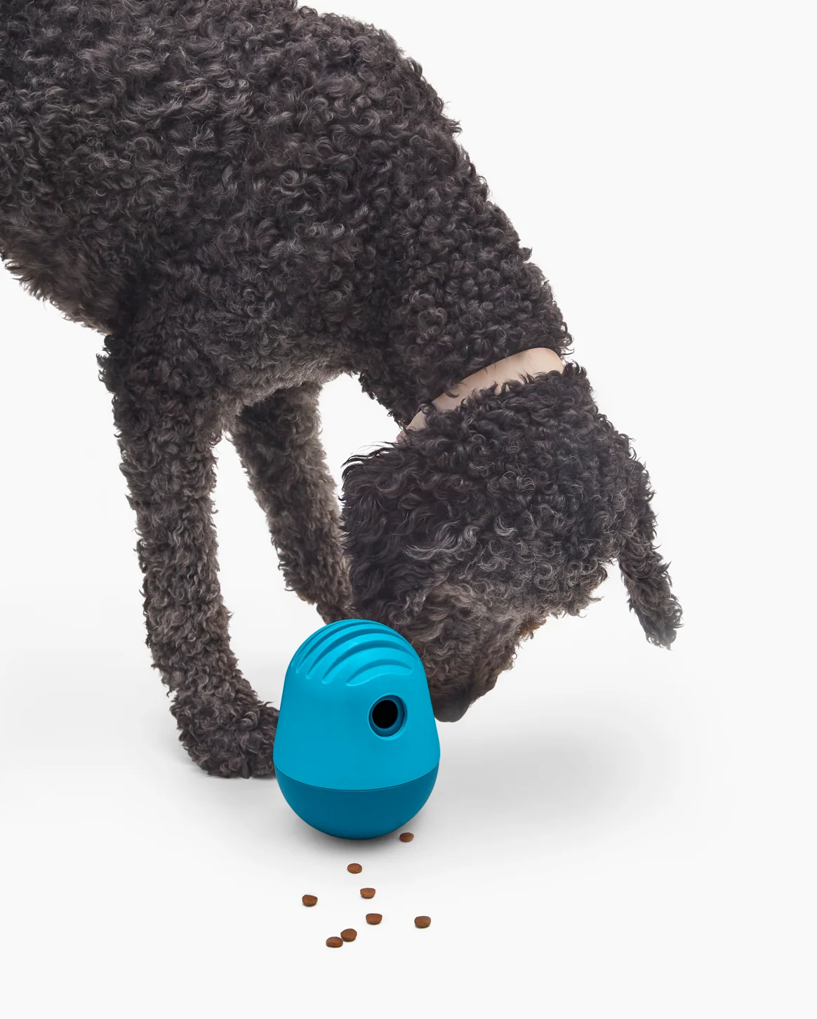 The Puffin™ Game giocattolo interattivo personalizzato per i pasti del cane