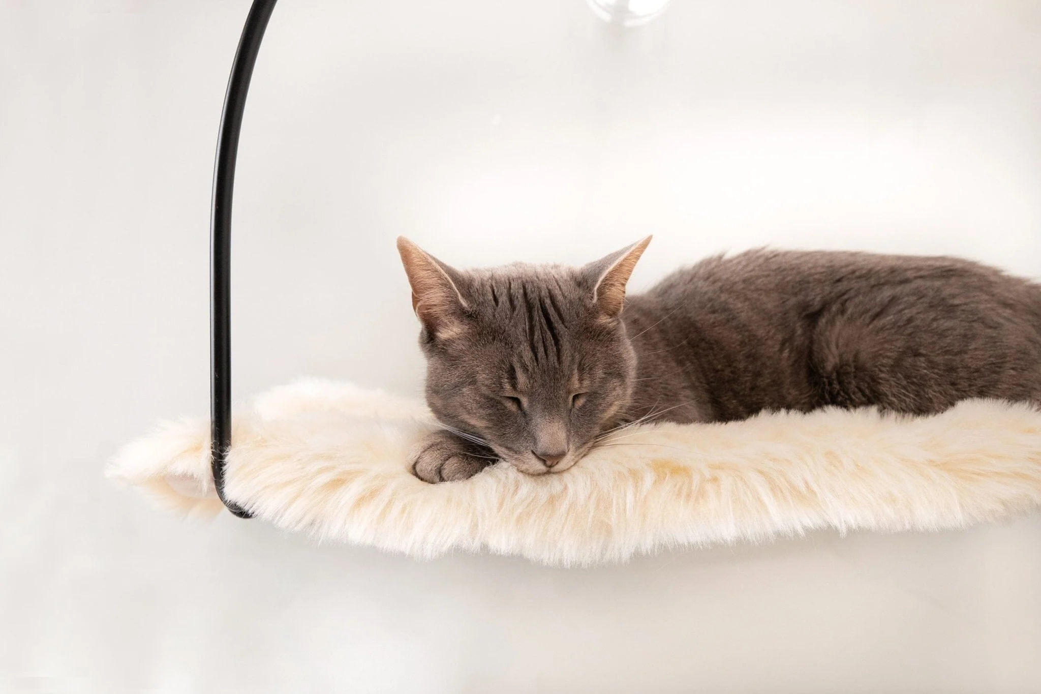 tuft + paw Cloud Nine Window Hammock for Cats