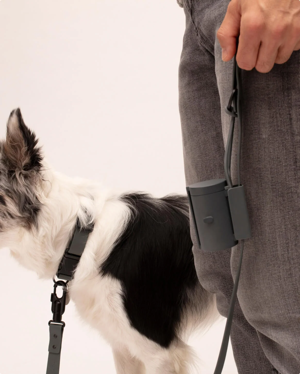 Signature Leash wodoodporna smycz dla psów ręcznie wykonana w USA