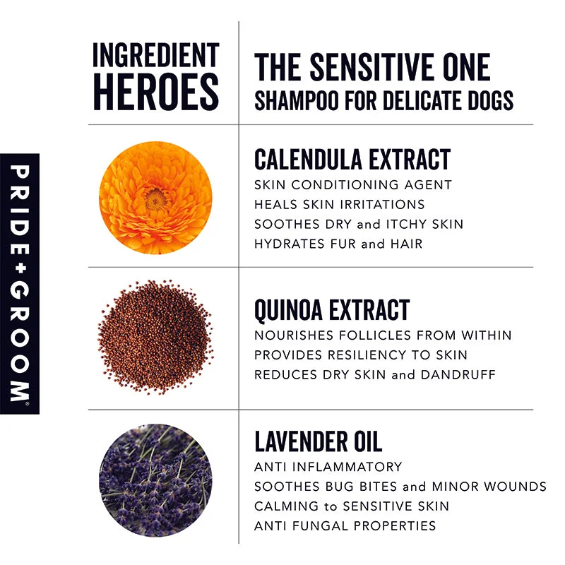 Pride + Groom THE SENSITIVE ONE Hypoallergenic Dog and Puppy Shampoo with Hemp Oil, Aloe and Oatmeal