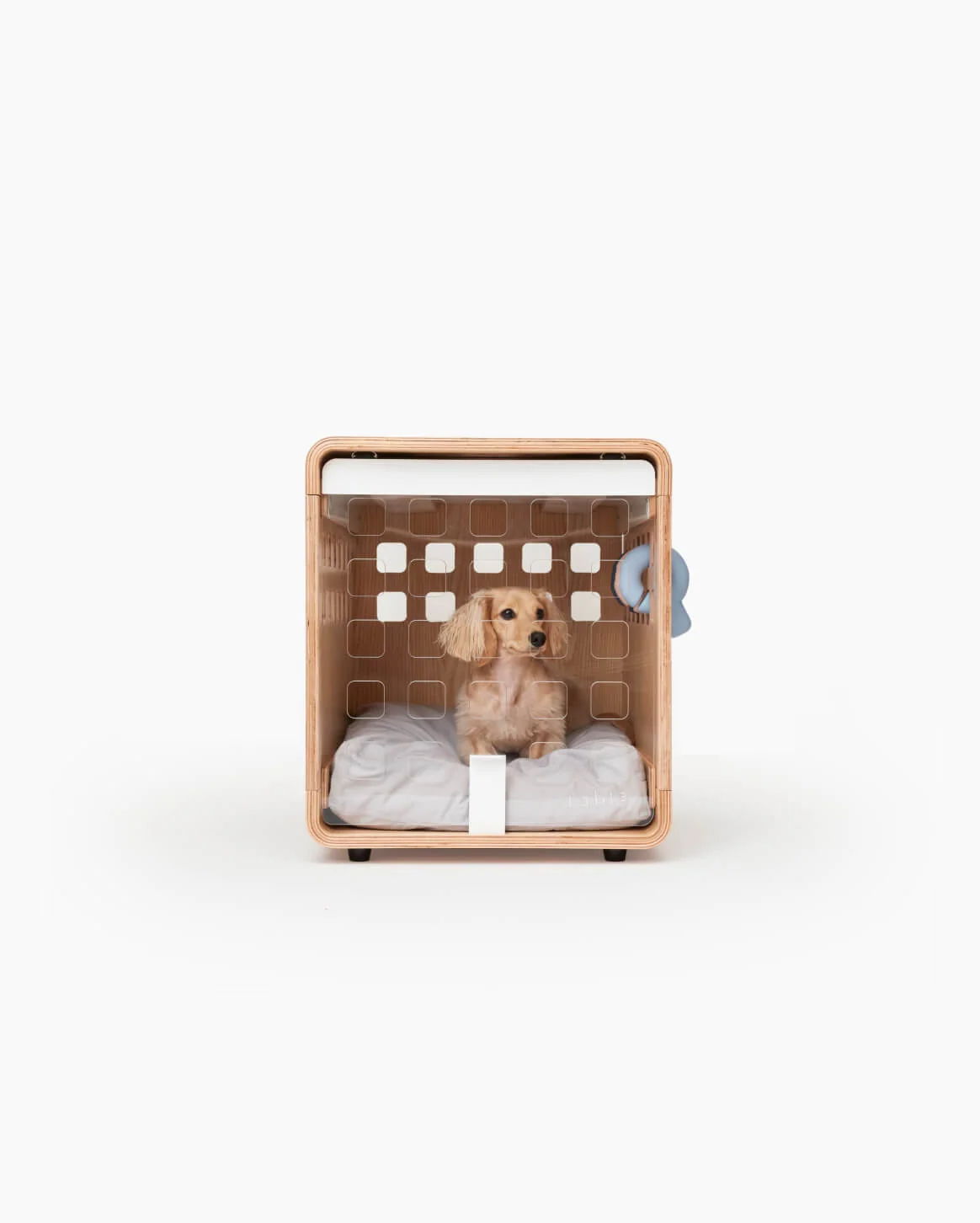 Signature Crate Bentwood Furniture Dog Crate in Two Finishes