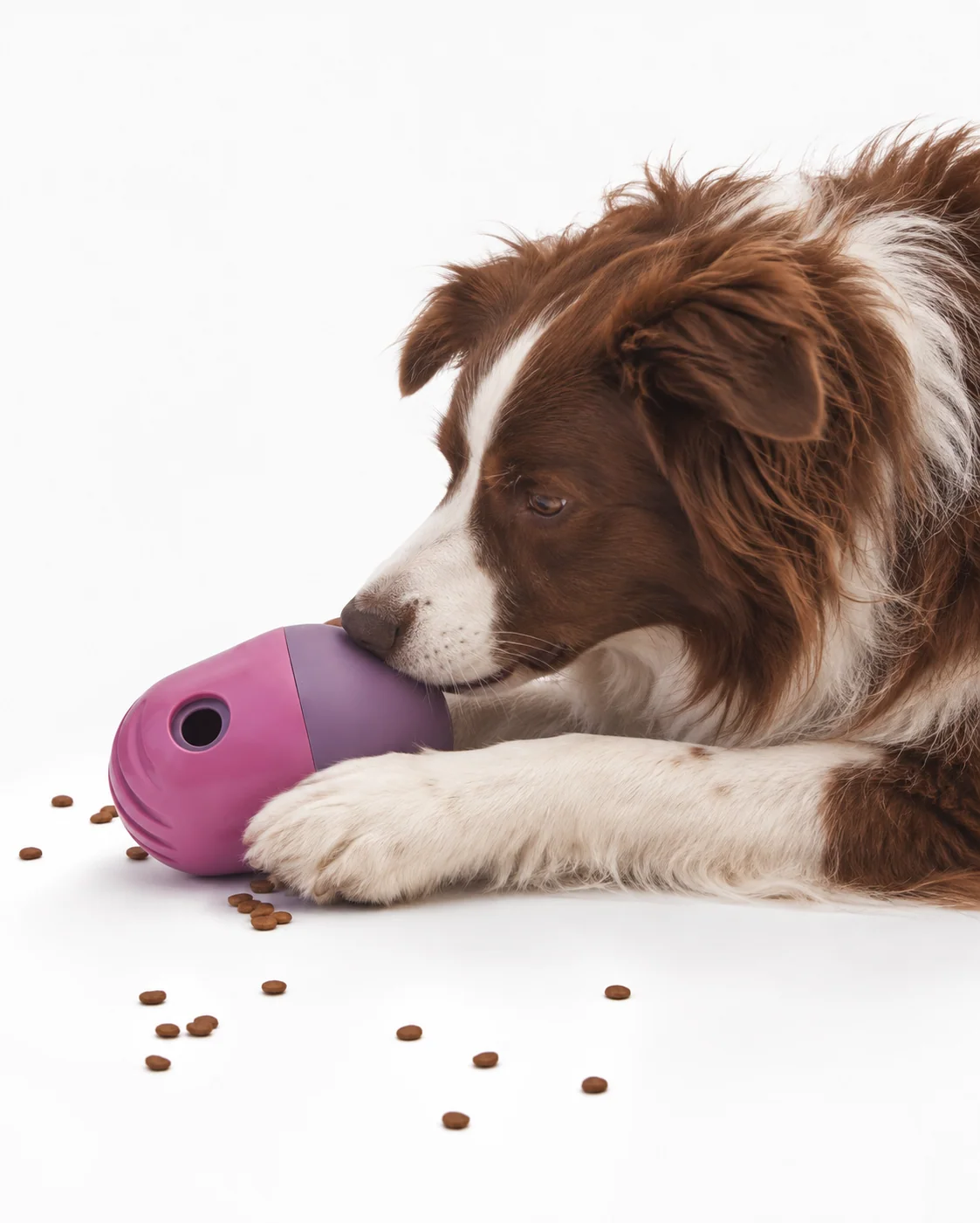 The Puffin™ Game : puzzle interactif pour chien contenant 1,5 tasse de nourriture