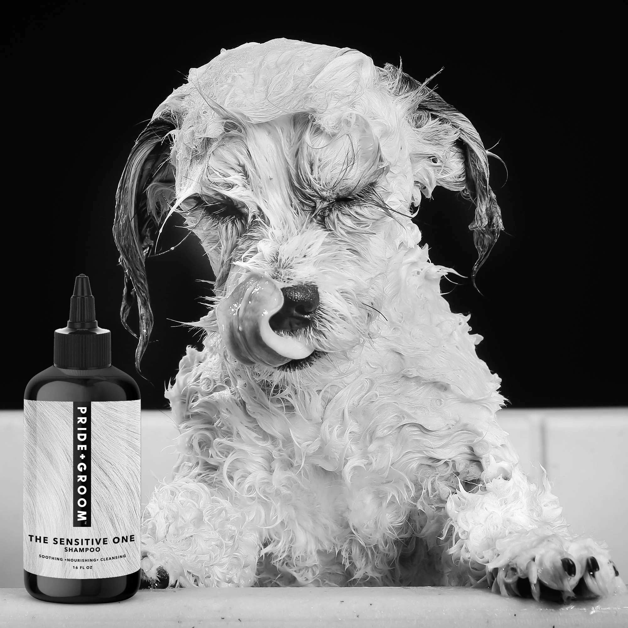 Pride + Groom THE SENSITIVE ONE Hypoallergenic Dog and Puppy Shampoo with Hemp Oil, Aloe and Oatmeal