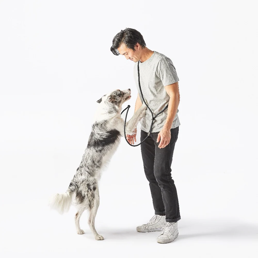 Magic Link® Hands-Free Dog Leash, Belt and Wrist Strap